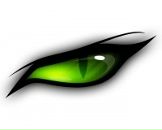 Фотография Криллова Марка