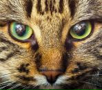 Фотография Карасевой Анны