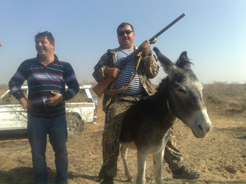 Дмитрий Баев фотография #4