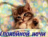 Слава Біланинець фотография #1