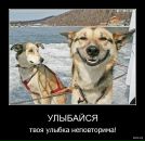 Vladlena Moskalenko фотография #46 (источник - https://vk.com/id10124641)