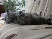 Фотография Рыжова Александра