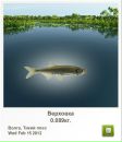 Андрій Качмарчик фотография #31 (источник - https://vk.com/id112012976)