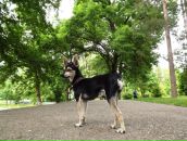 Фотография Александров Александр