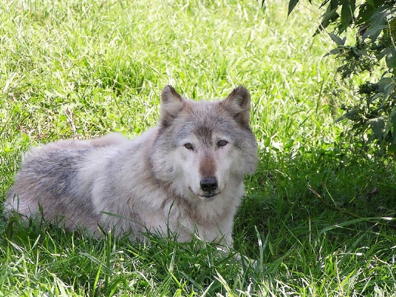 Алексей Плотников фотография #3