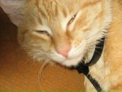 Фотография Захарова Валеры