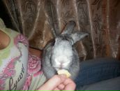 Фотография Кочуковой Татьяны