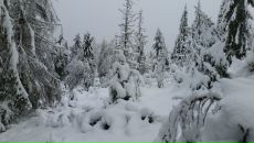 Віталій Паньковець фотография #35 (источник - https://vk.com/id6943449)