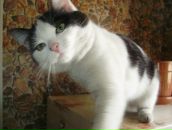 Фотография Аль-Аттаби Марии