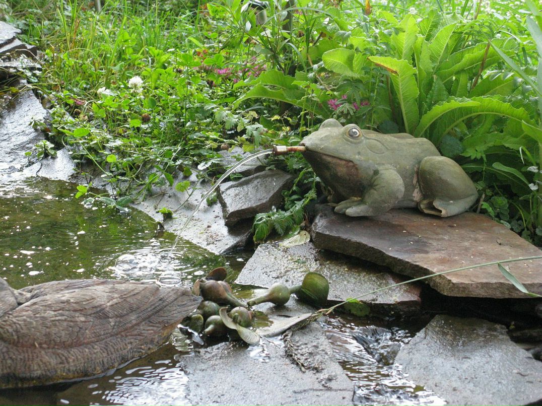 Дмитрий Ермилов фотография #8