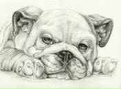 Фотография Ряполова Дмитрия