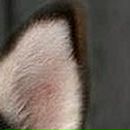 Міша Канафеев фотография #15 (источник - https://vk.com/id51463416)