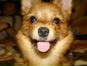 Фотография Фёдоровой Натальи