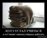 Фотография Сапроновой Светик