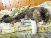 Фотография Кадышевой Анастасии