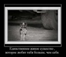 Наталя Зубаркіна фотография #32 (источник - https://vk.com/id39727833)