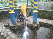 Пєтя Санчик фотография #29 (источник - https://vk.com/id124946048)