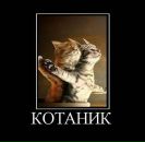 Фотография Шишковой-Салимбаевой Вики