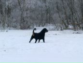 Фотография Ивлева Дениса