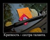 Фотография Сани Александра