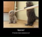 Дмитрий Бирюков фотография #18 (источник - https://vk.com/id67059265)