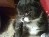 Фотография Ким Елены