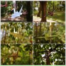 Дарья Козел фотография #33 (источник - https://vk.com/id517013)