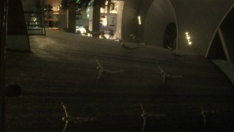 Андрей Сидоренко фотография #10