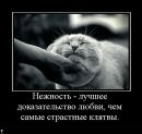 Фотография Анастасия Клюева